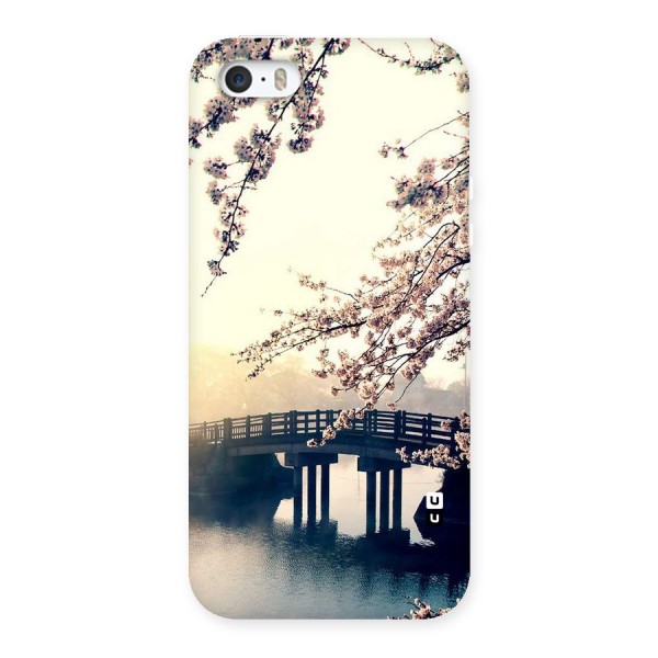 Bridge Blossom Back Case for iPhone 5 5S