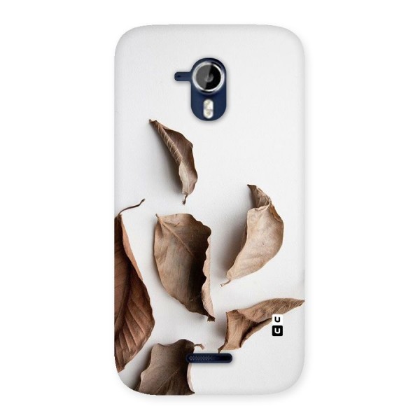 Brown Dusty Leaves Back Case for Micromax Canvas Magnus A117