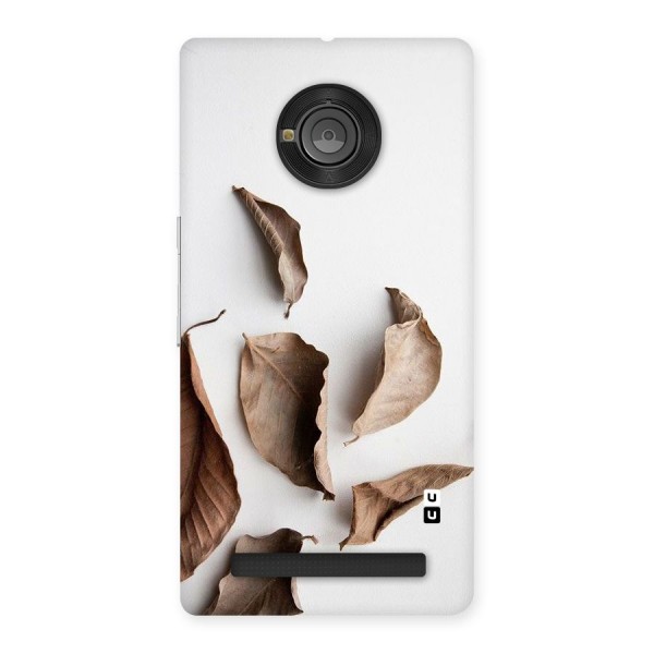 Brown Dusty Leaves Back Case for Yu Yuphoria