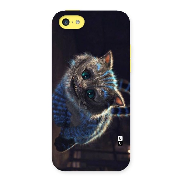 Cat Smile Back Case for iPhone 5C
