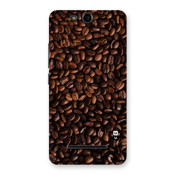 Coffee Beans Scattered Back Case for Micromax Canvas Juice 3 Q392