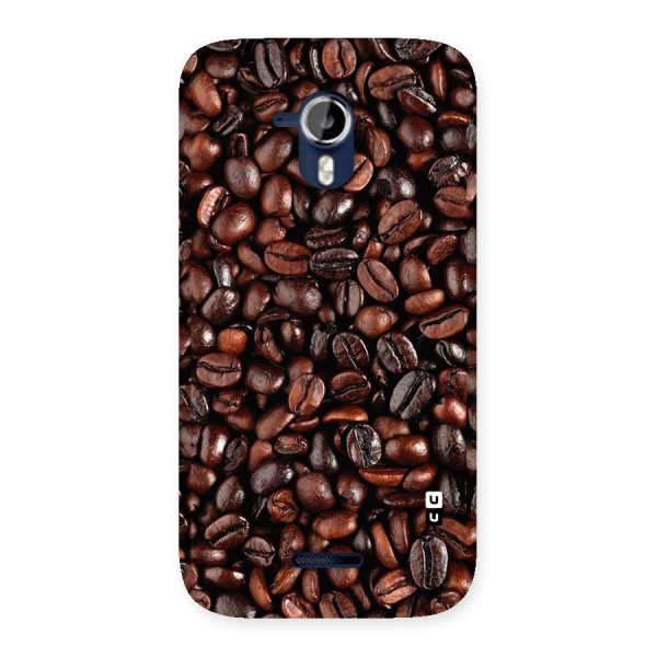 Coffee Beans Texture Back Case for Micromax Canvas Magnus A117