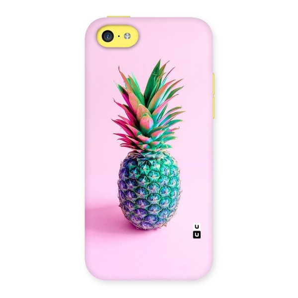 Colorful Watermelon Back Case for iPhone 5C