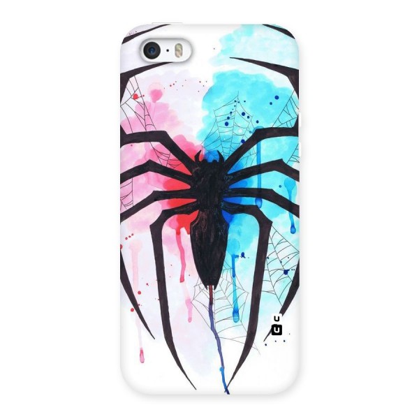 Colorful Web Back Case for iPhone SE