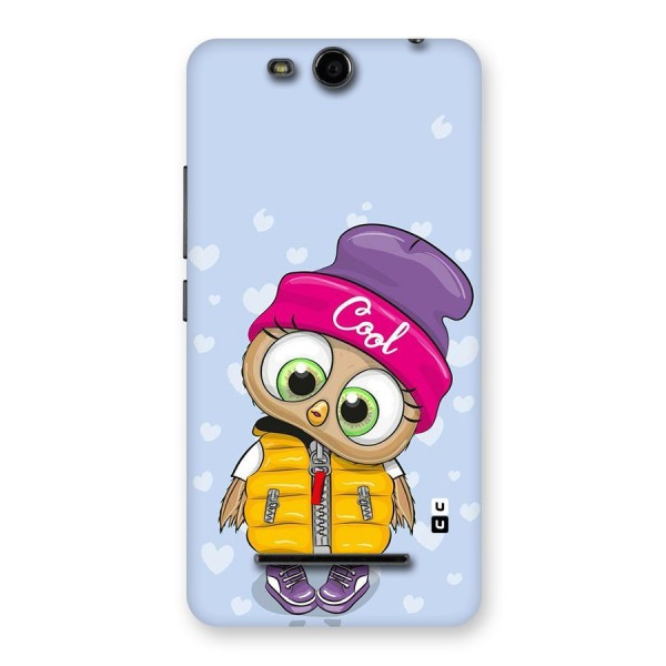 Cool Owl Back Case for Micromax Canvas Juice 3 Q392