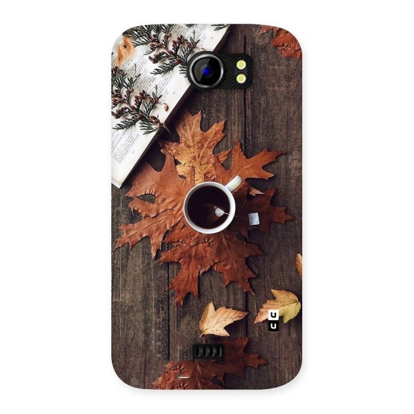 Fall Leaf Coffee Back Case for Micromax Canvas 2 A110