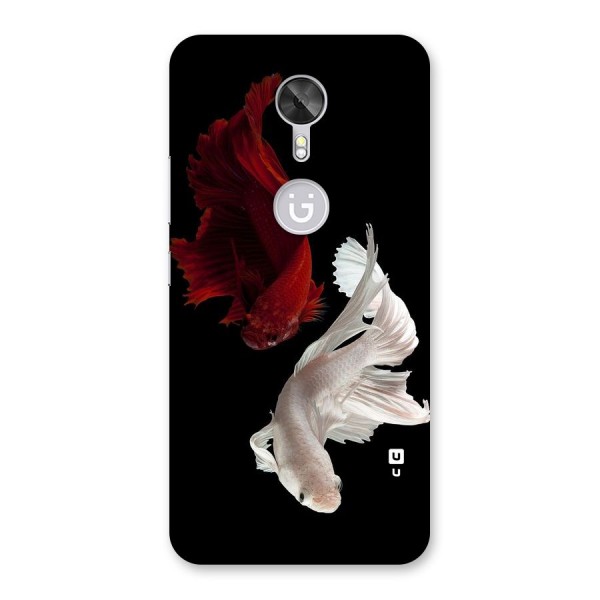 Fish Design Back Case for Gionee A1
