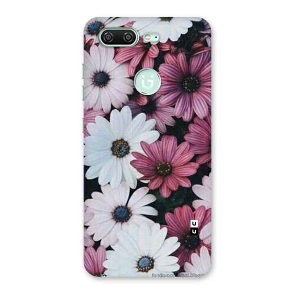 Floral Shades Pink Back Case for Gionee S10