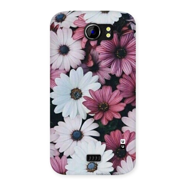 Floral Shades Pink Back Case for Micromax Canvas 2 A110