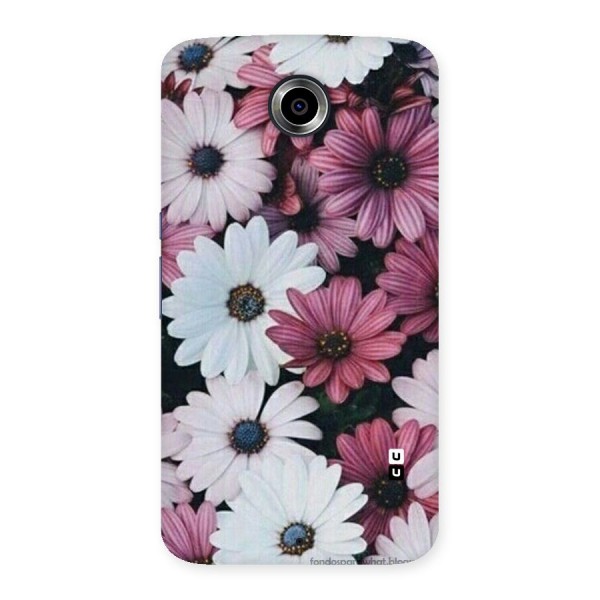 Floral Shades Pink Back Case for Nexsus 6