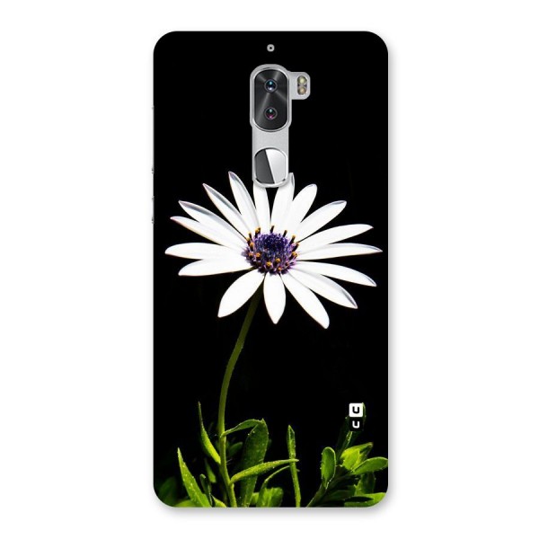 Flower White Spring Back Case for Coolpad Cool 1