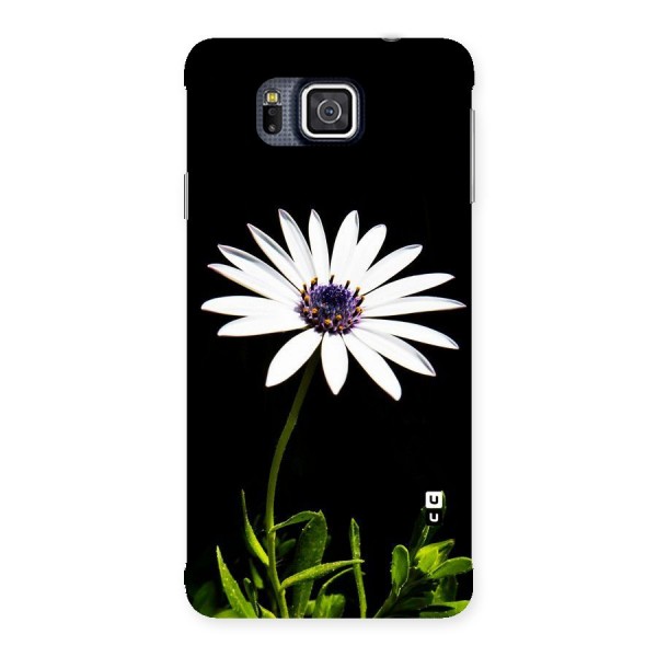 Flower White Spring Back Case for Galaxy Alpha