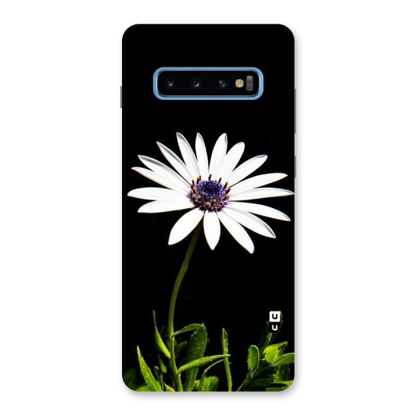 Flower White Spring Back Case for Galaxy S10 Plus