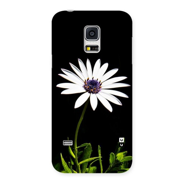 Flower White Spring Back Case for Galaxy S5 Mini