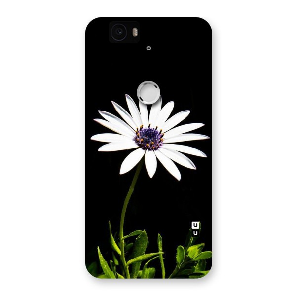 Flower White Spring Back Case for Google Nexus-6P