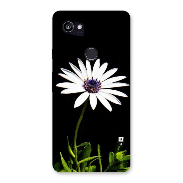 Flower White Spring Back Case for Google Pixel 2 XL