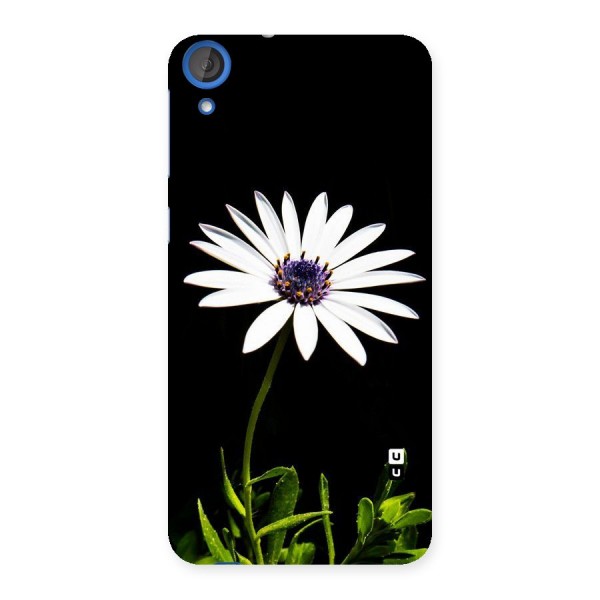 Flower White Spring Back Case for HTC Desire 820