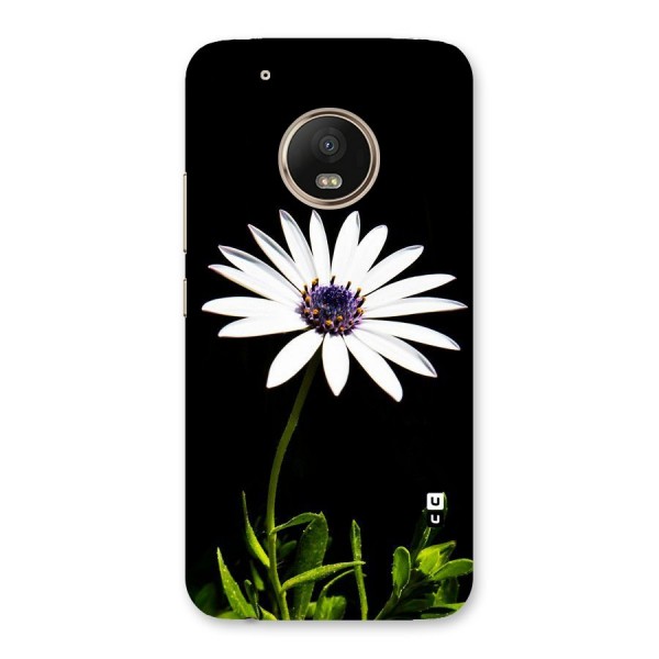 Flower White Spring Back Case for Moto G5 Plus
