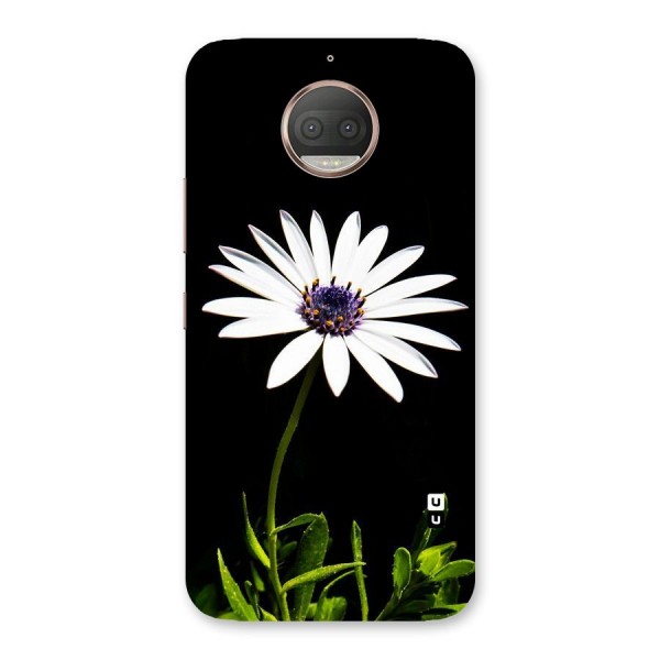 Flower White Spring Back Case for Moto G5s Plus