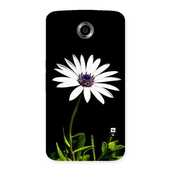 Flower White Spring Back Case for Nexsus 6