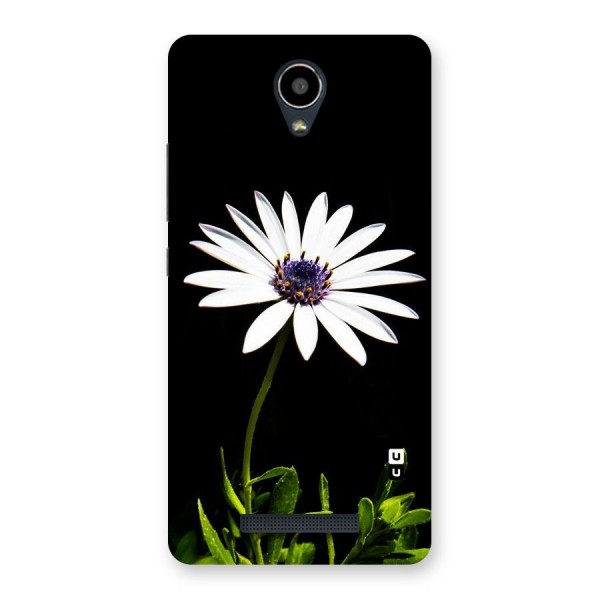 Flower White Spring Back Case for Redmi Note 2