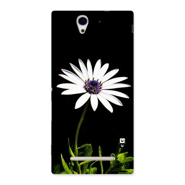 Flower White Spring Back Case for Sony Xperia C3