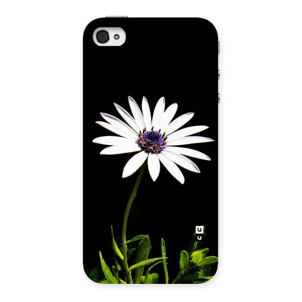 Flower White Spring Back Case for iPhone 4 4s
