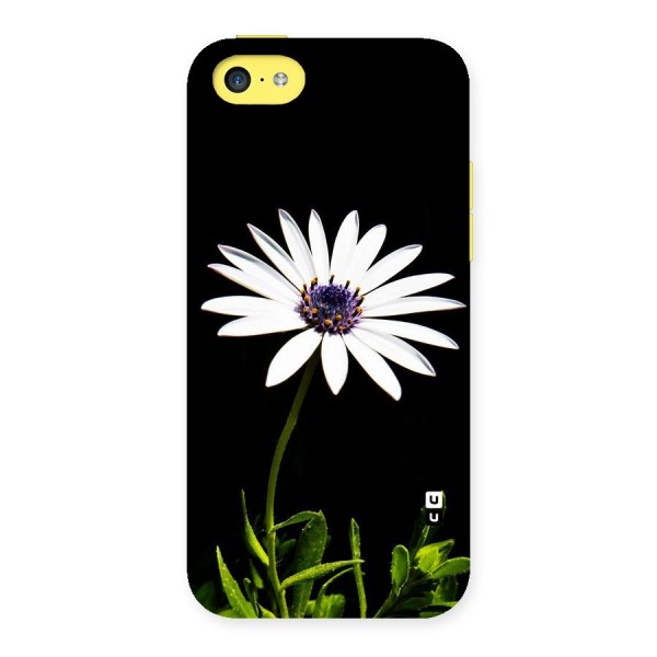Flower White Spring Back Case for iPhone 5C