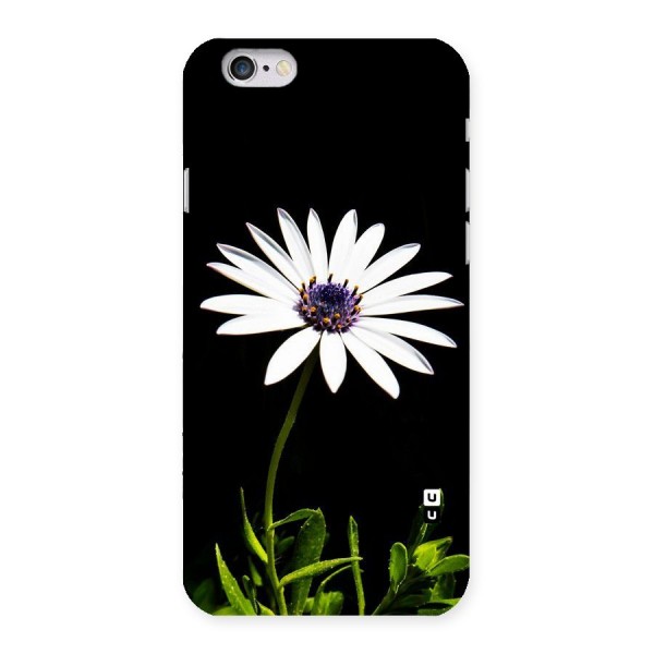 Flower White Spring Back Case for iPhone 6 6S