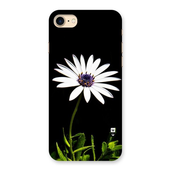 Flower White Spring Back Case for iPhone 7