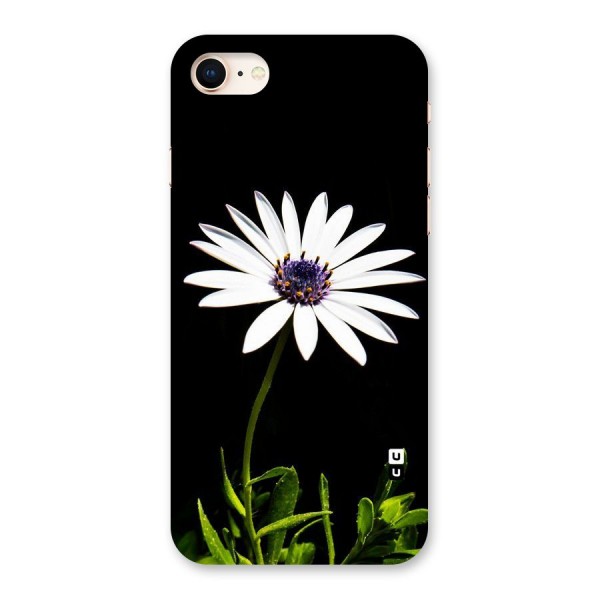 Flower White Spring Back Case for iPhone 8