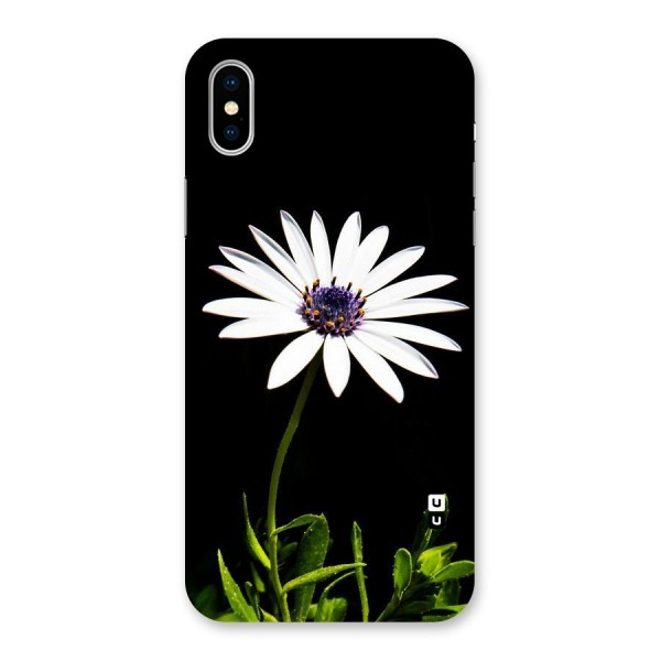 Flower White Spring Back Case for iPhone XS