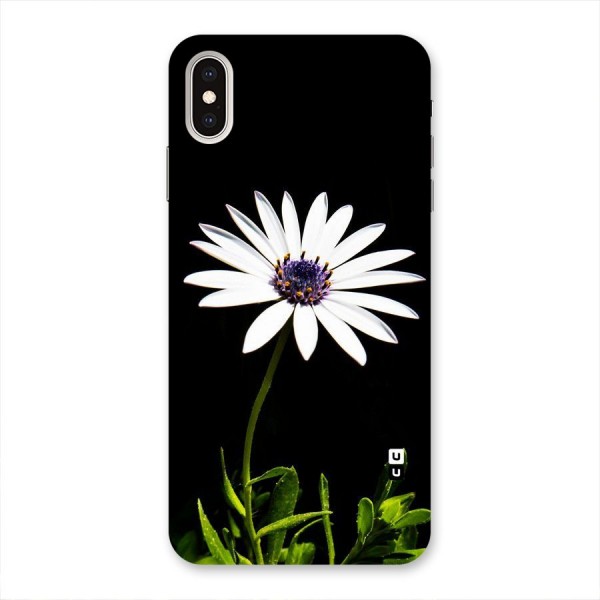 Flower White Spring Back Case for iPhone XS Max