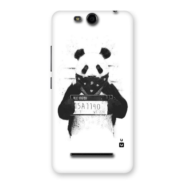 Guilty Panda Back Case for Micromax Canvas Juice 3 Q392