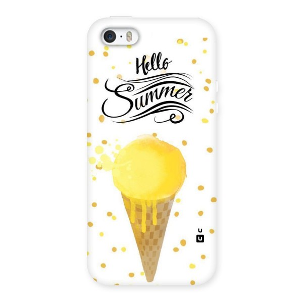 Ice Cream Summer Back Case for iPhone 5 5S