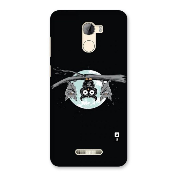 Owl Hanging Back Case for Gionee A1 LIte