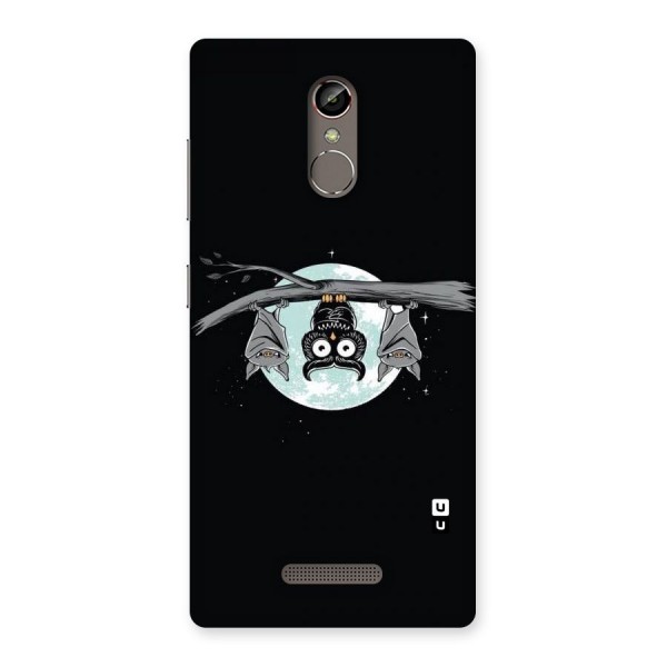 Owl Hanging Back Case for Gionee S6s