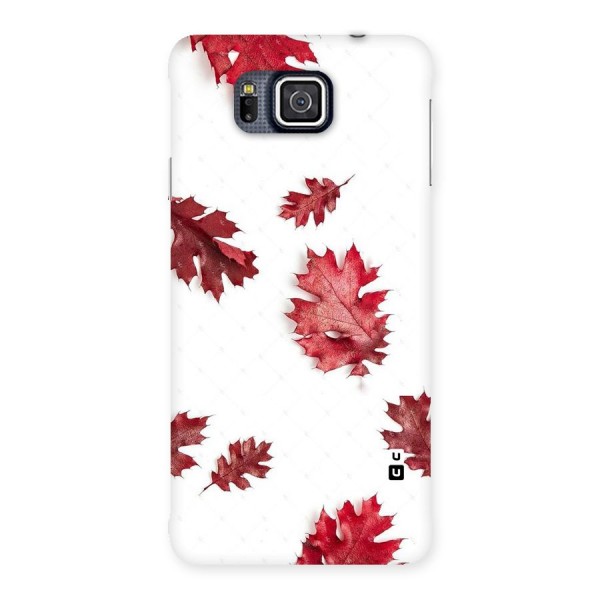 Red Appealing Autumn Leaves Back Case for Galaxy Alpha