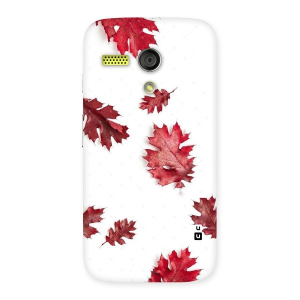 Red Appealing Autumn Leaves Back Case for Moto G
