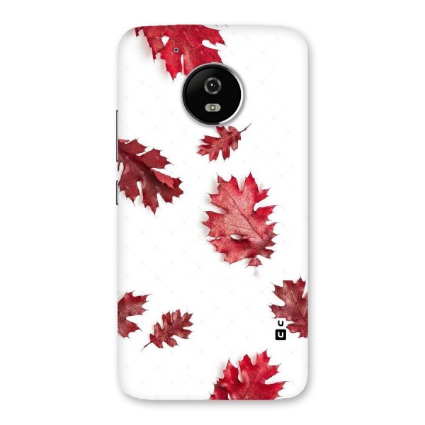 Red Appealing Autumn Leaves Back Case for Moto G5