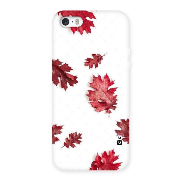 Red Appealing Autumn Leaves Back Case for iPhone SE