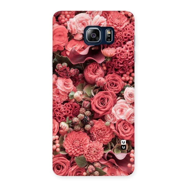 Shades Of Peach Back Case for Galaxy Note 5