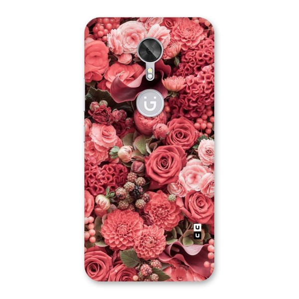 Shades Of Peach Back Case for Gionee A1