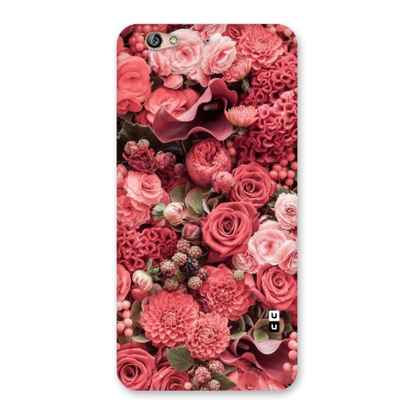 Shades Of Peach Back Case for Gionee S6