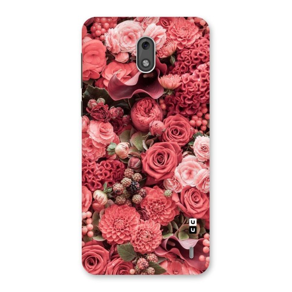 Shades Of Peach Back Case for Nokia 2