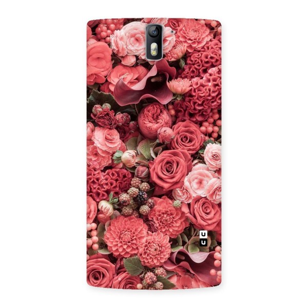 Shades Of Peach Back Case for One Plus One