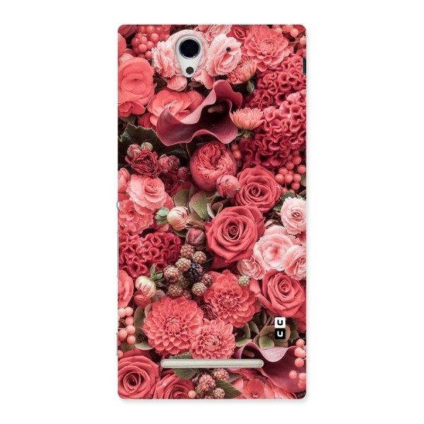 Shades Of Peach Back Case for Sony Xperia C3
