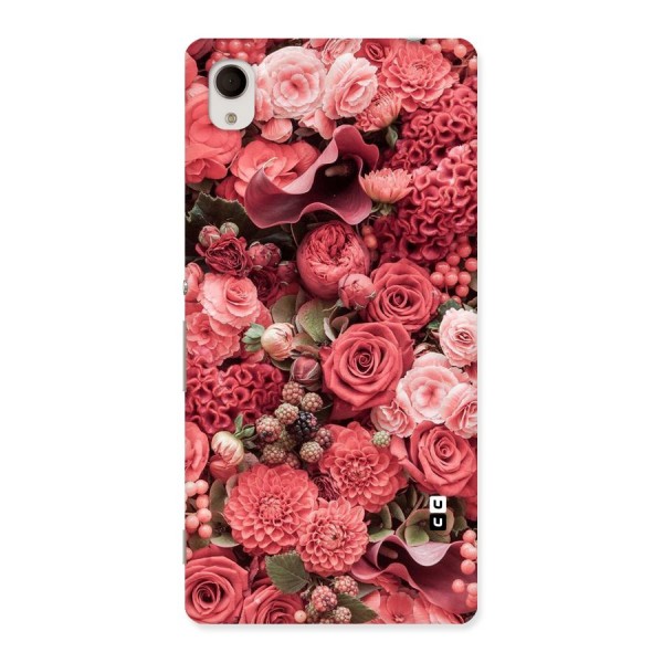 Shades Of Peach Back Case for Sony Xperia M4