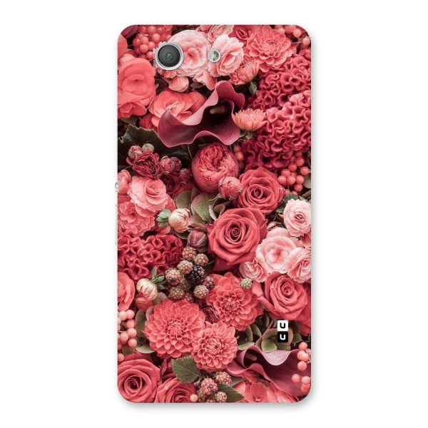 Shades Of Peach Back Case for Xperia Z3 Compact