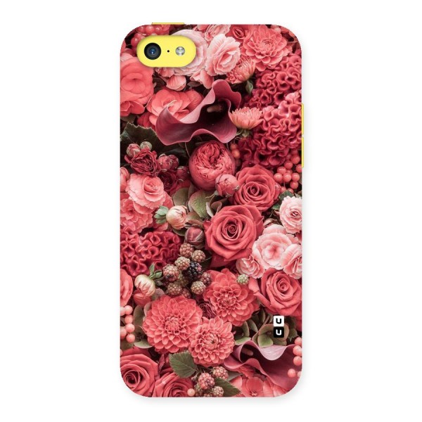 Shades Of Peach Back Case for iPhone 5C